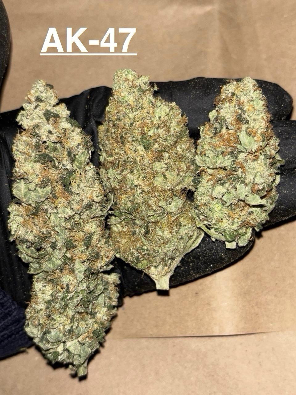 🇳🇱 Topshelf NL 