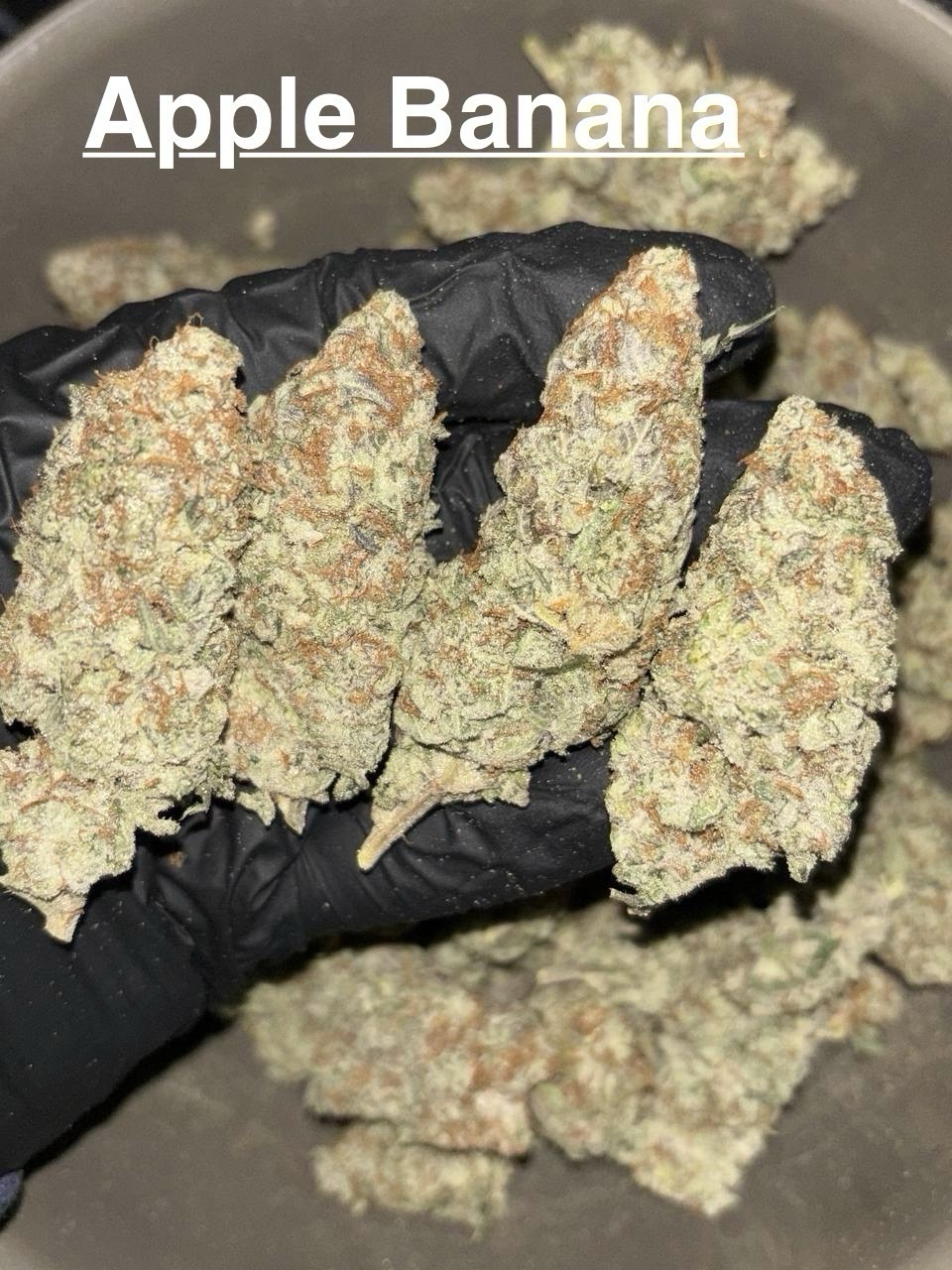 🇳🇱 Topshelf NL 