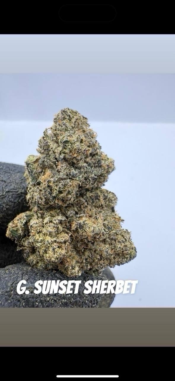 🇺🇸 Cali Exotic Mid 