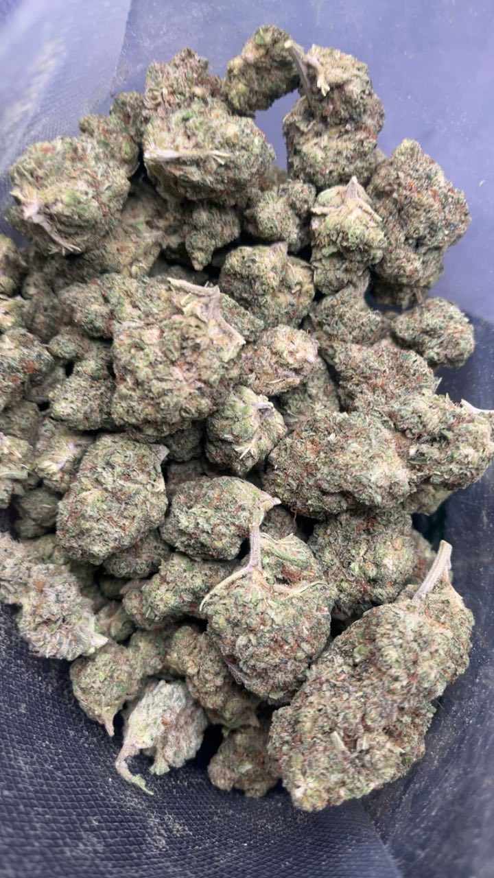 🇺🇸LA BOMB🇺🇸MID CALI