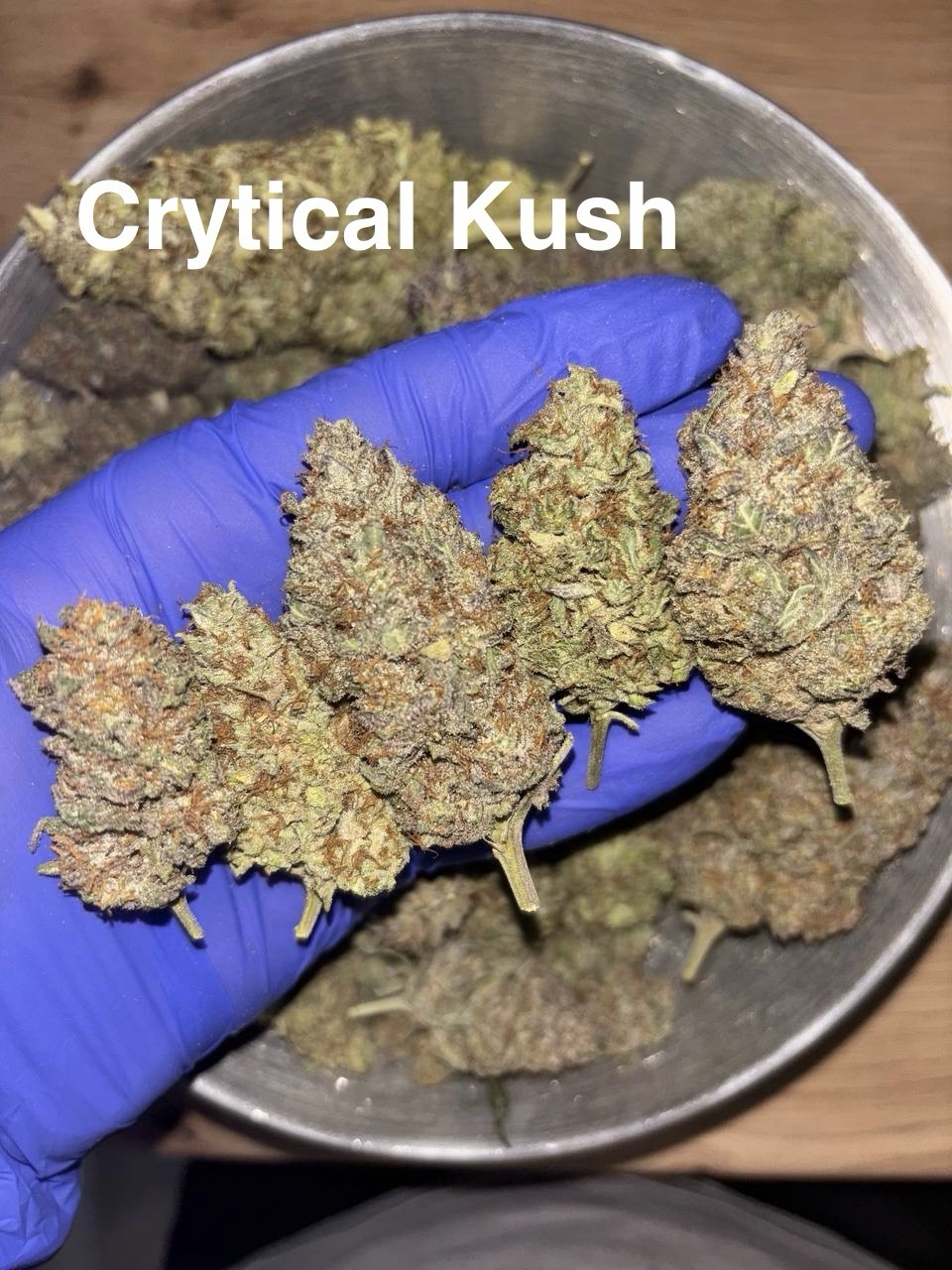 🇨🇿 Natural Topshelf Czechy