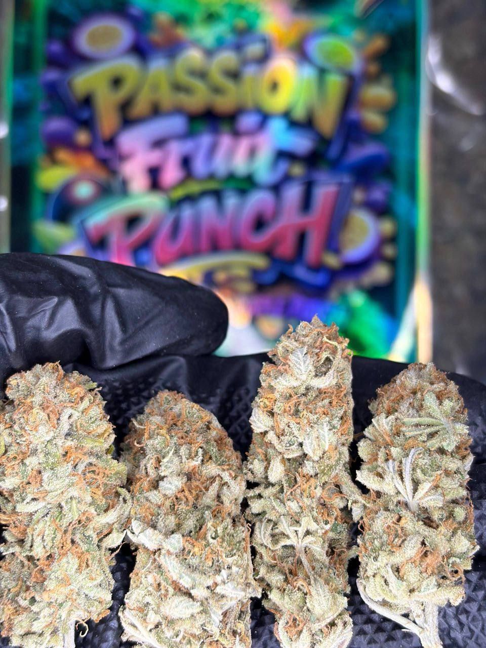 🇳🇱 DUTCH A+++ STRAIN 🌟