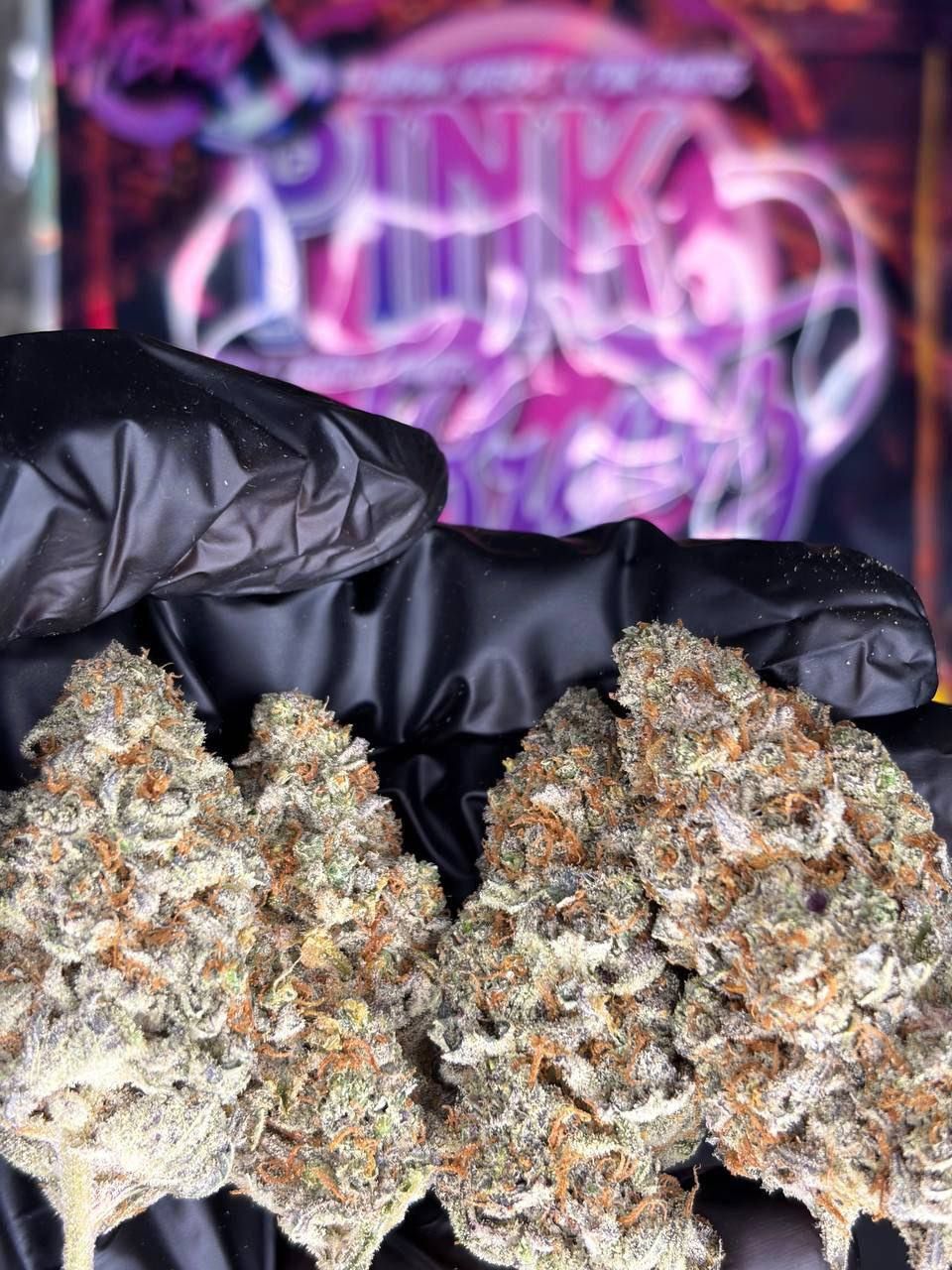 🇪🇸🇺🇸 CALISPAIN STRAIN 🌟