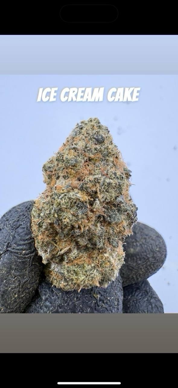 🇺🇸 Cali Exotic Mid 