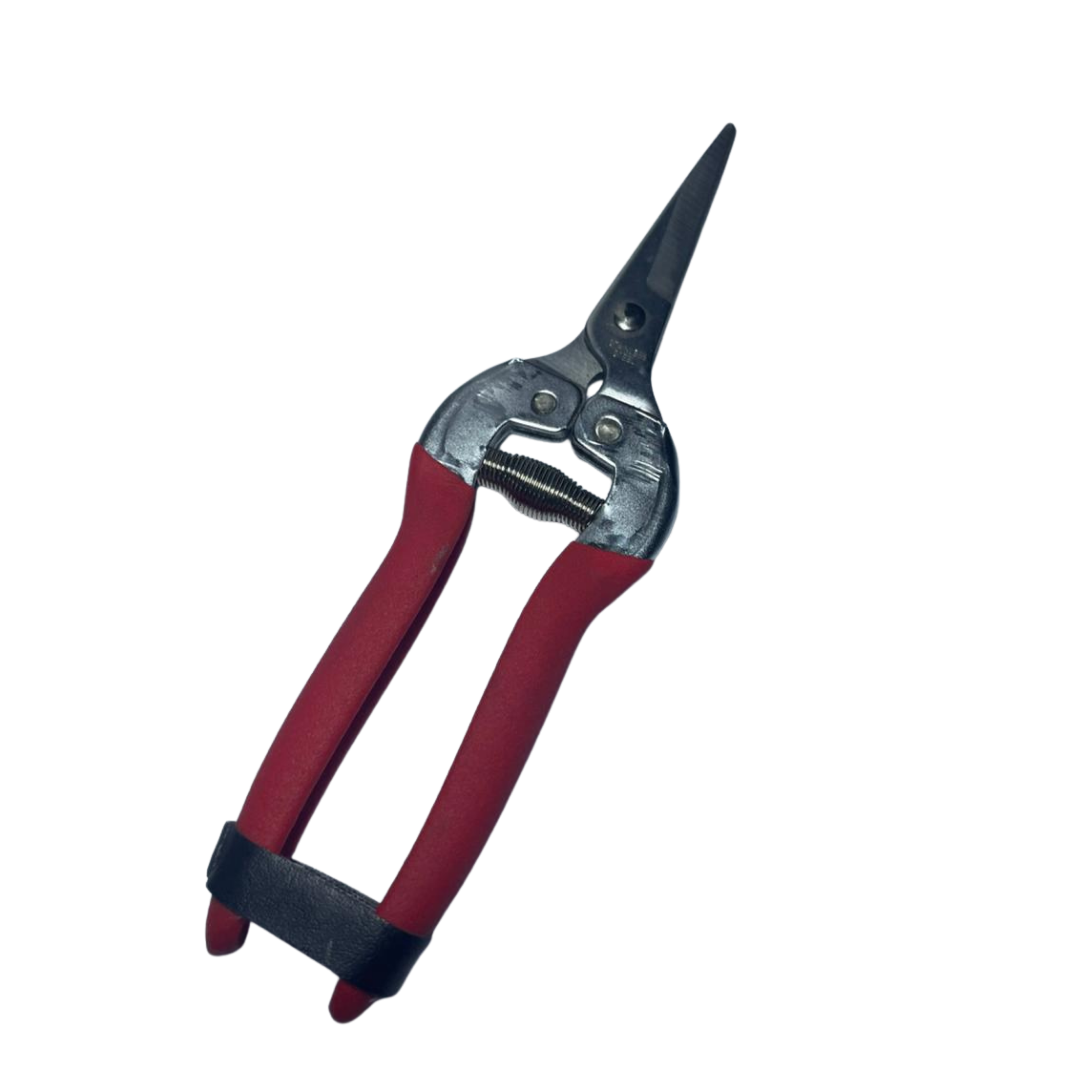 Tijera de Precisión