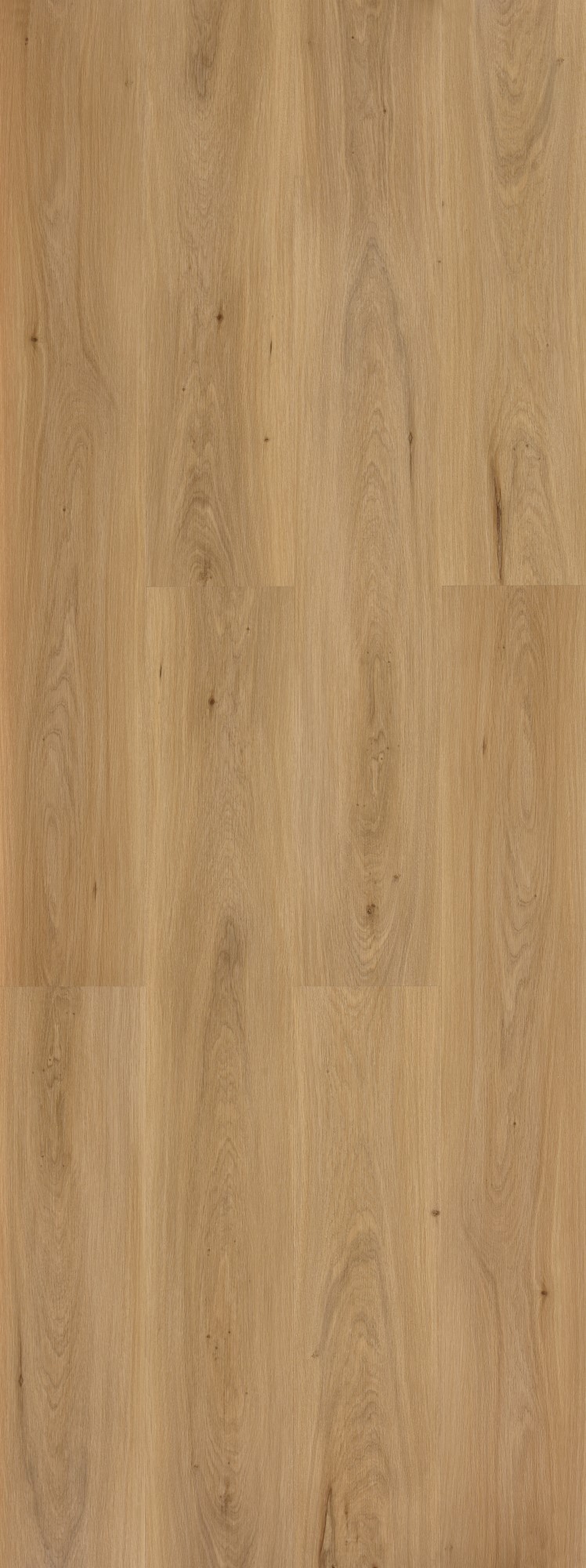 Vinilo Rígido "Galaxy Line Orion XL Silence Nude" 1524x229x6,5/0,55 mm