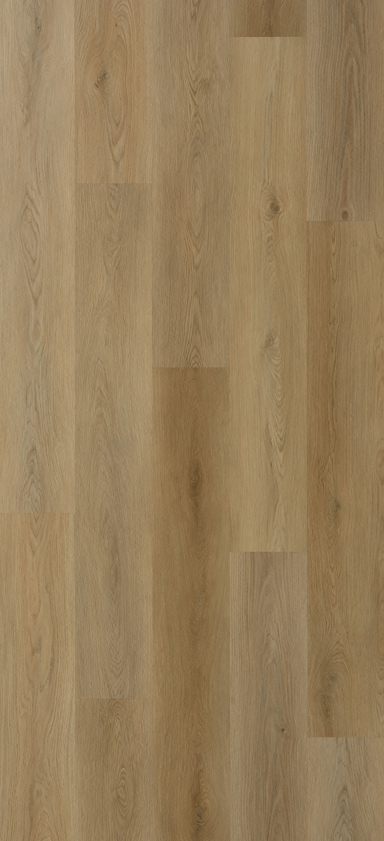 Vinilo Rígido "Galaxy Line Orion Large Silence Sand" 1524x228x5/0,55 mm