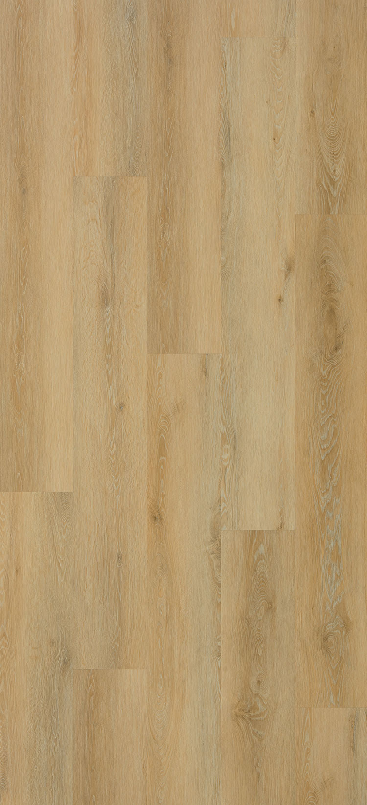 Vinilo Rígido "Galaxy Line Orion Large Silence Bright" 1524x228x5/0,55 mm