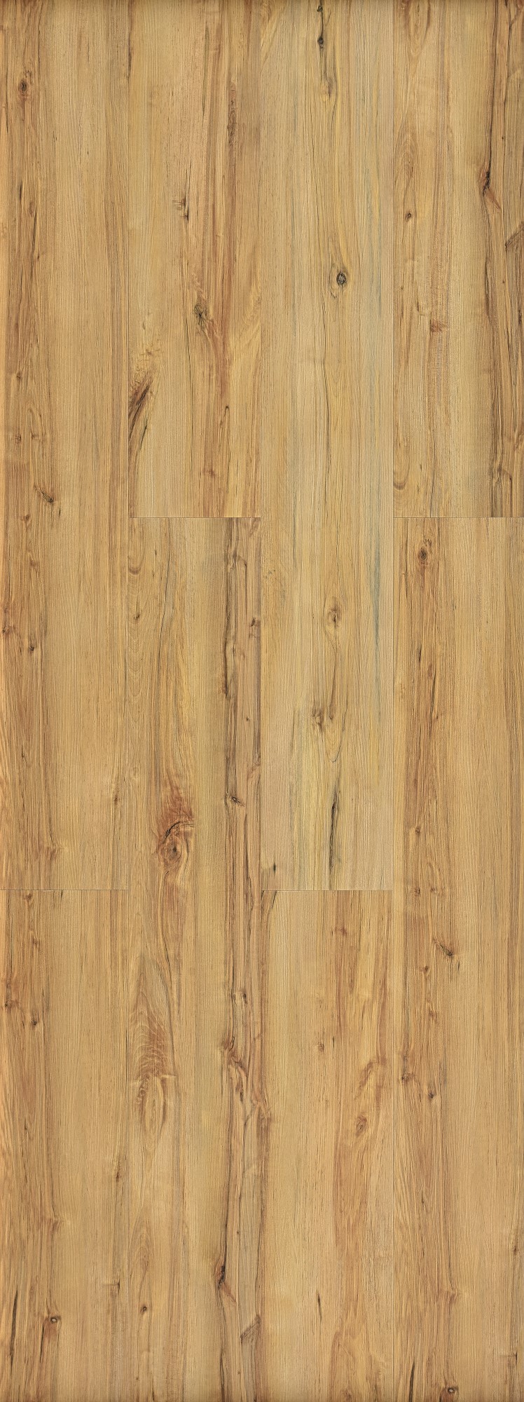 Vinilo Rígido "Galaxy Line Orion XL Silence Wild" 1524x229x6,5/0,55 mm