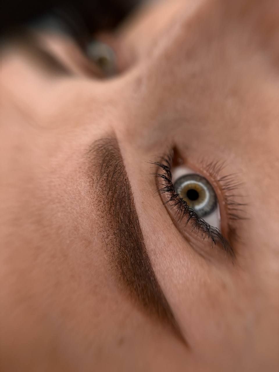 POWDER BROWS — Voile Powder