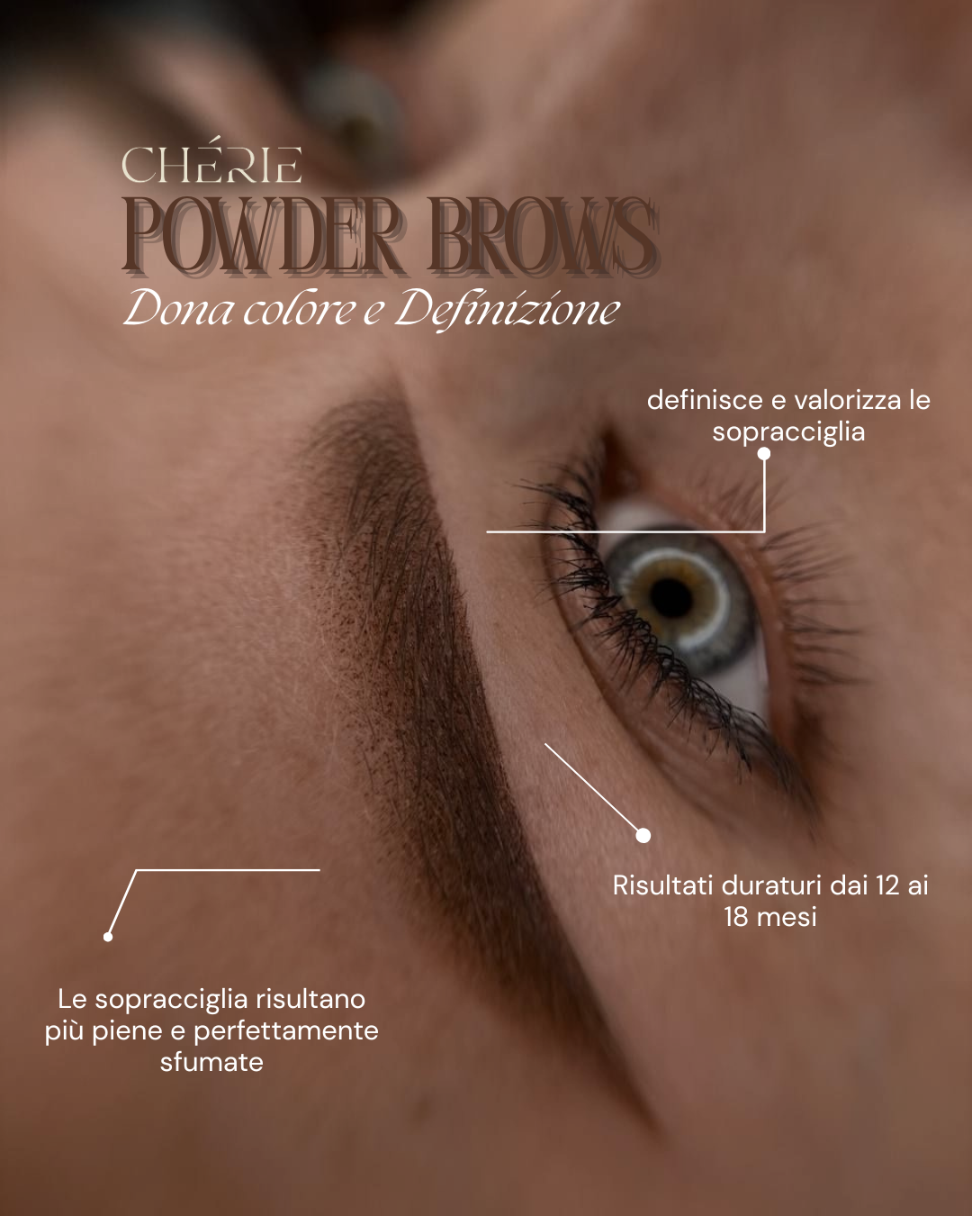 POWDER BROWS — Voile Powder