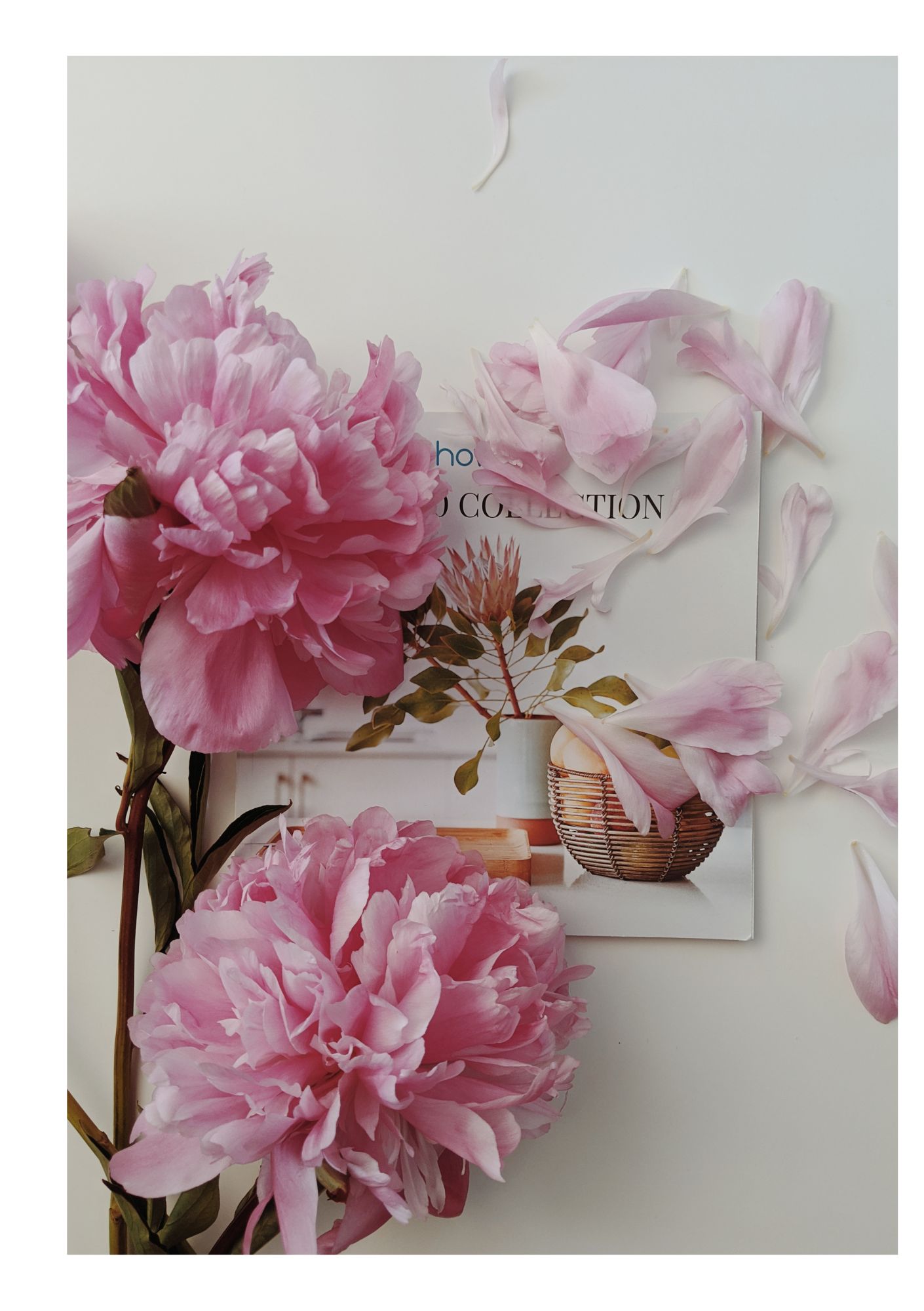 Elegant Floral Digital Art Print for Planner Inserts A5 & A6