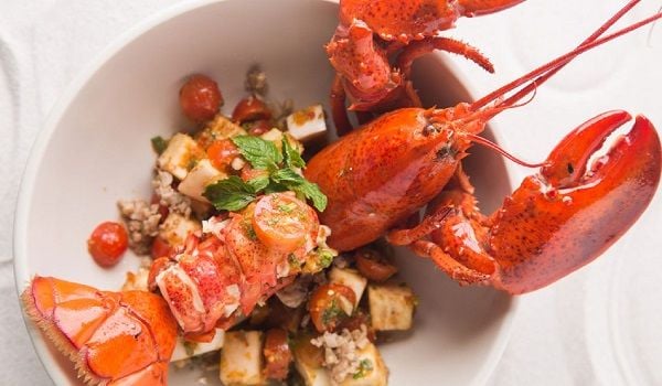 Tôm hùm ALASKA sống