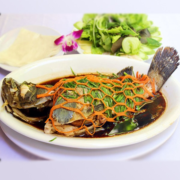 Cá Mú Sao Thiên Nhiên 