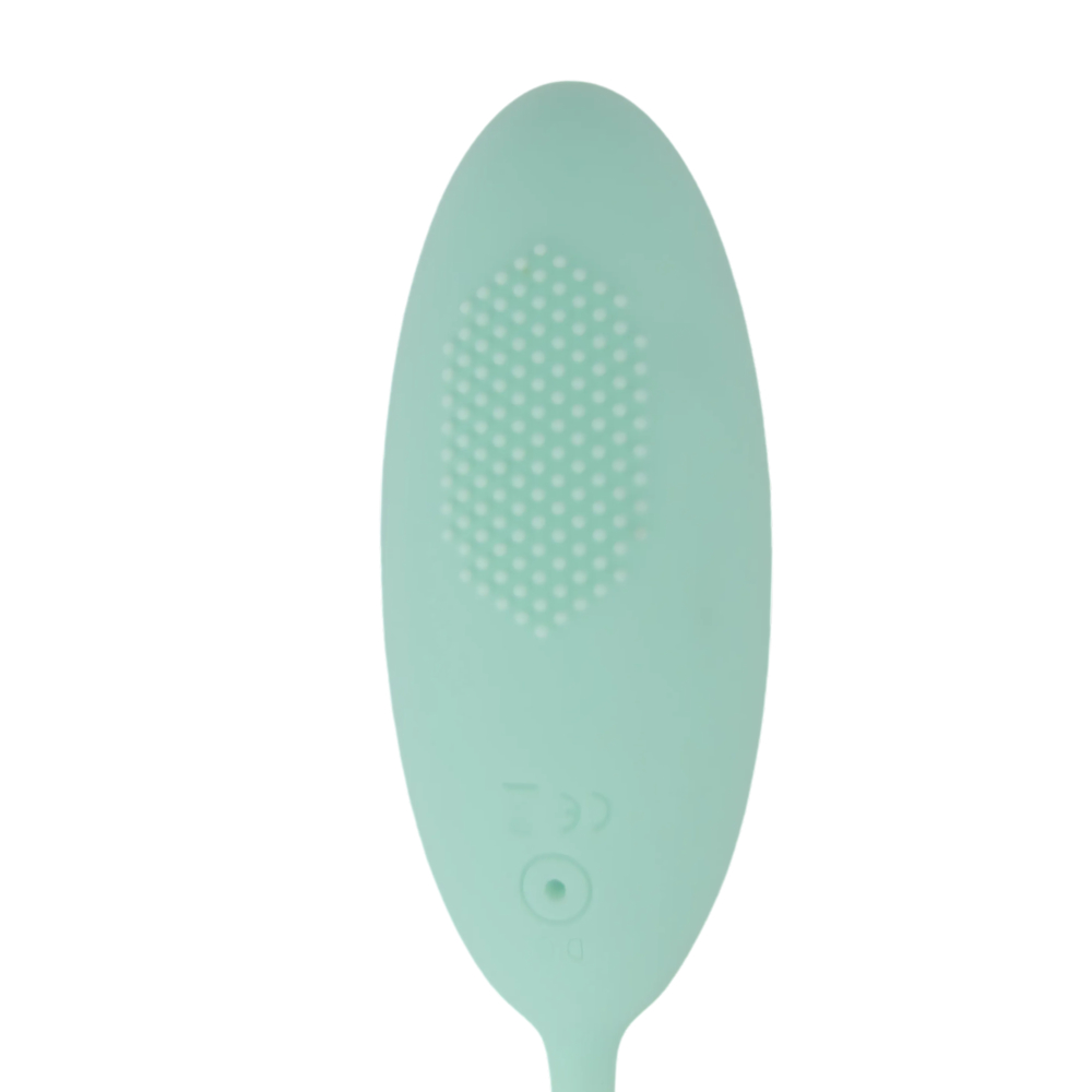 Velvet Remote Love Egg