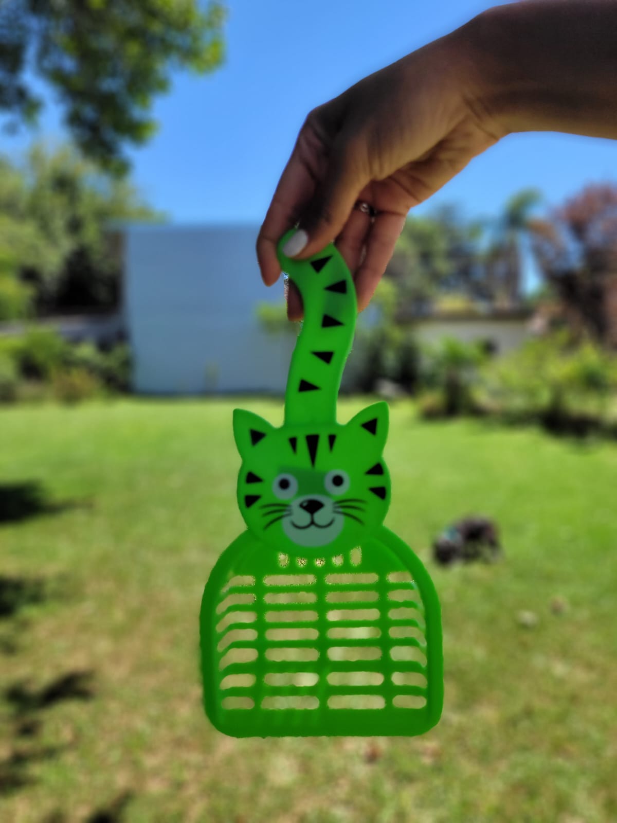 Palitas para limpieza de arena de gato