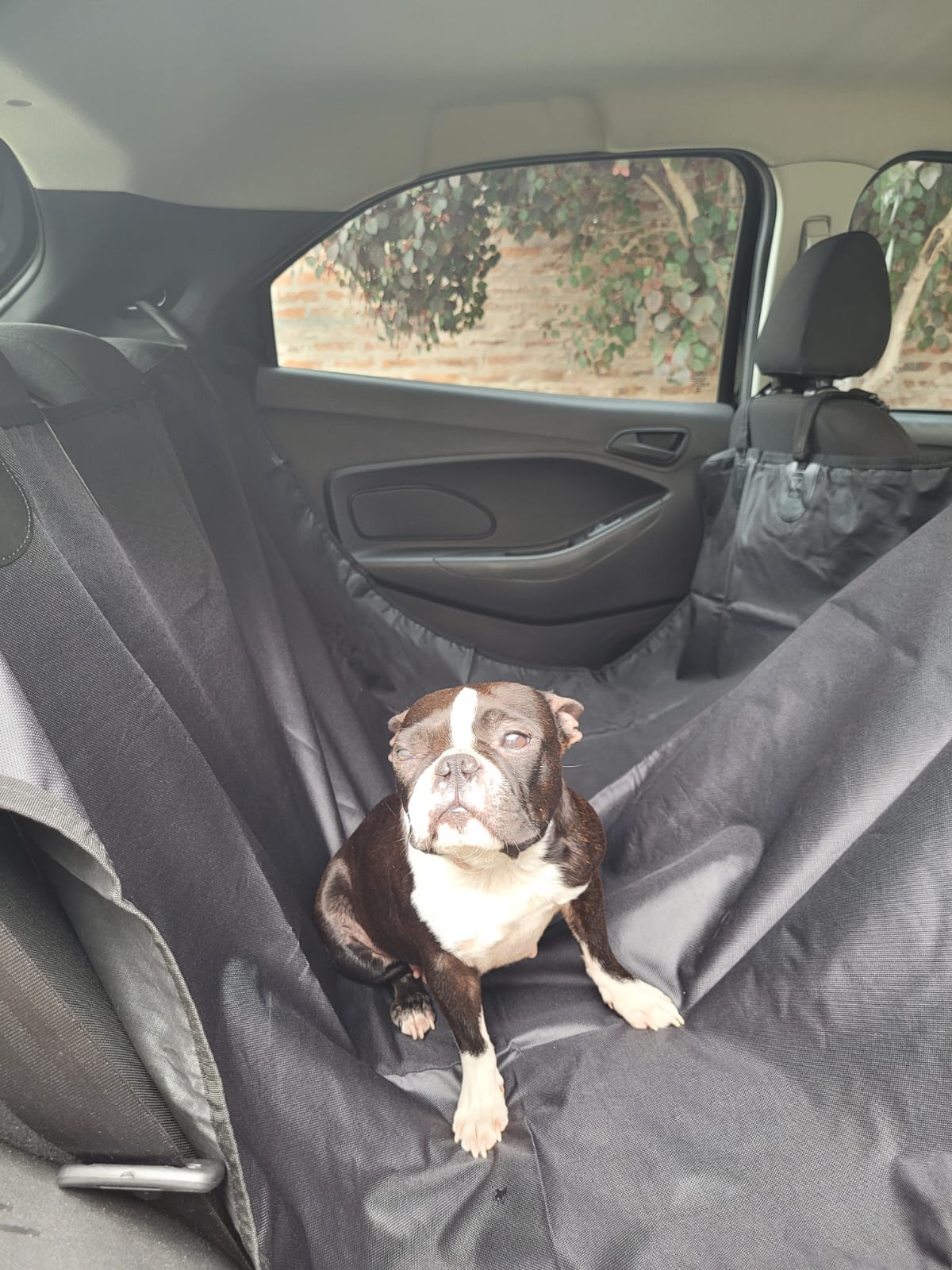 Funda Protectora para Asiento de Auto