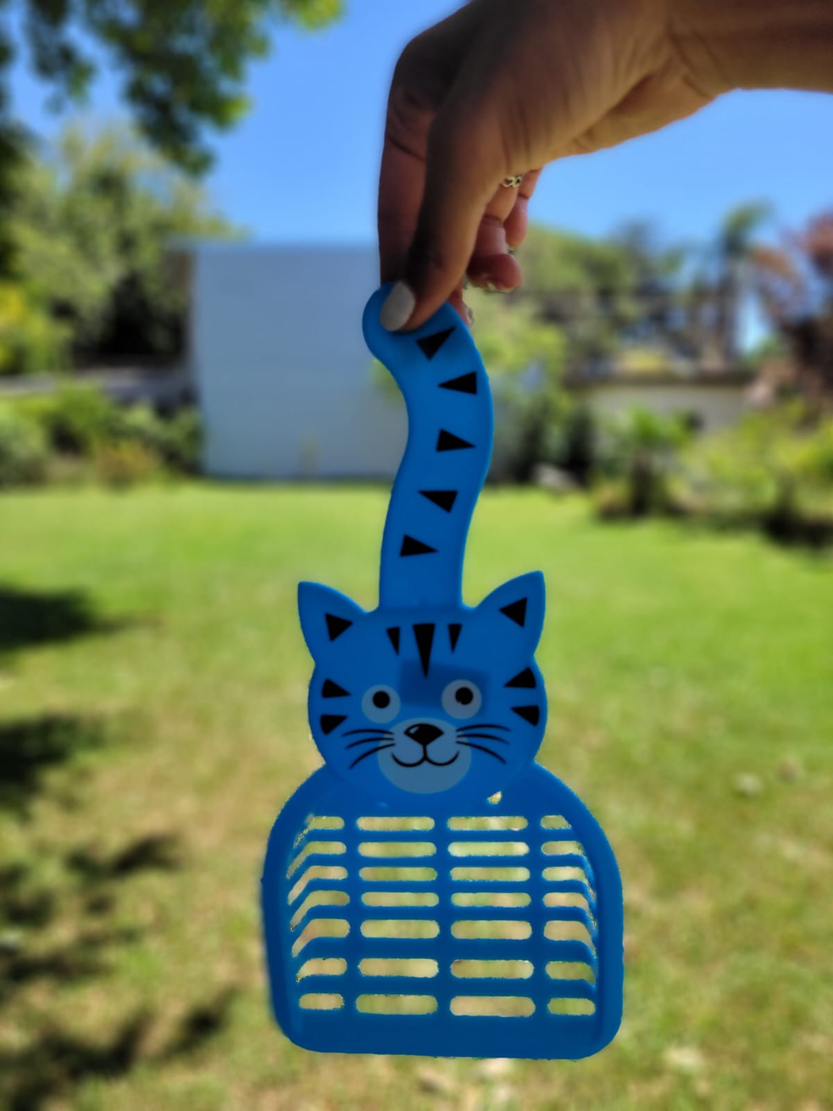 Palitas para limpieza de arena de gato