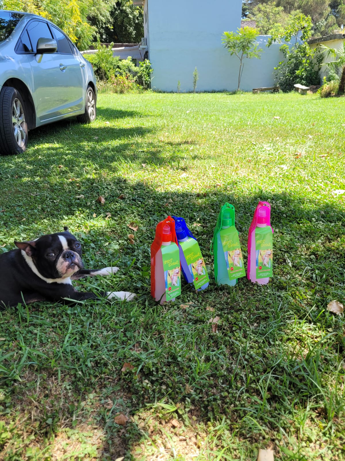 Botella portátil para mascotas