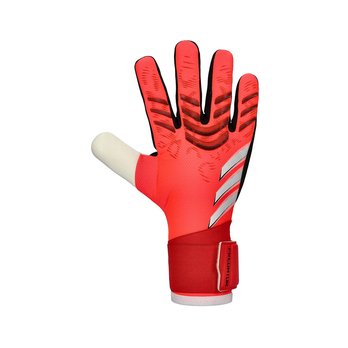 Adidas Predator 25 Competition Pure Victory Pack