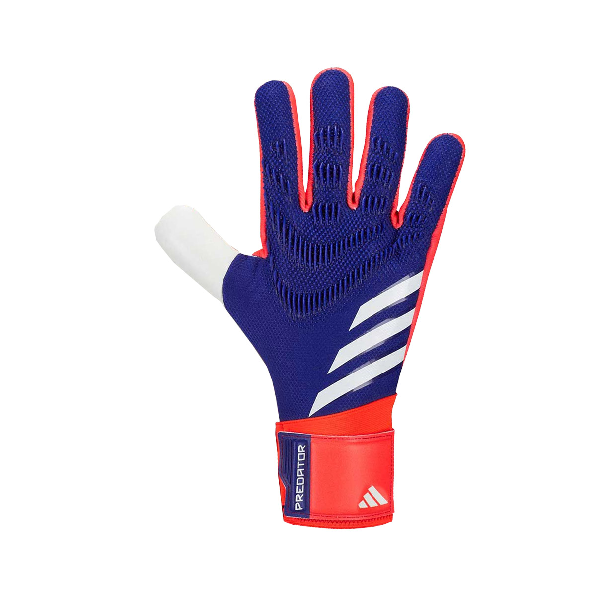 Adidas Predator 24 Competition Advancement Pack