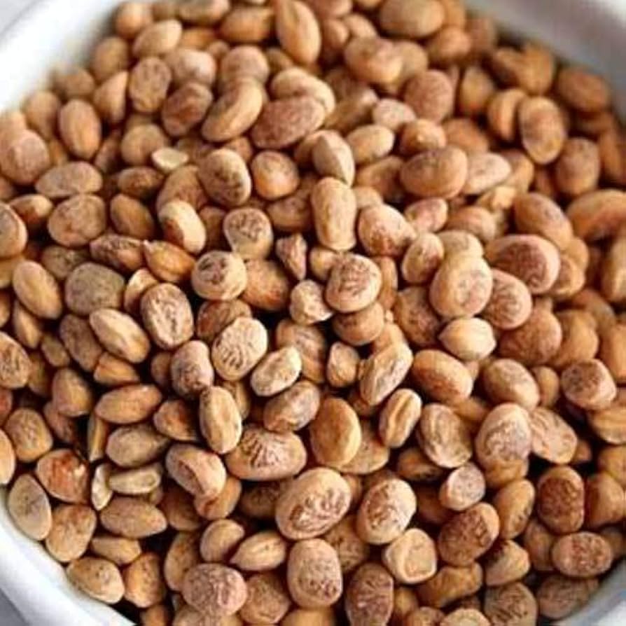 Brown Lentils