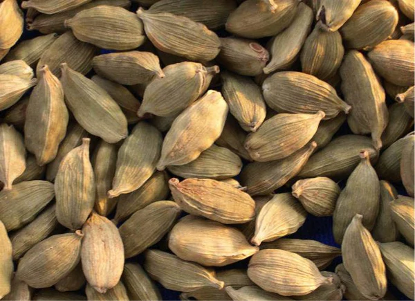 Green Cardamom Pods