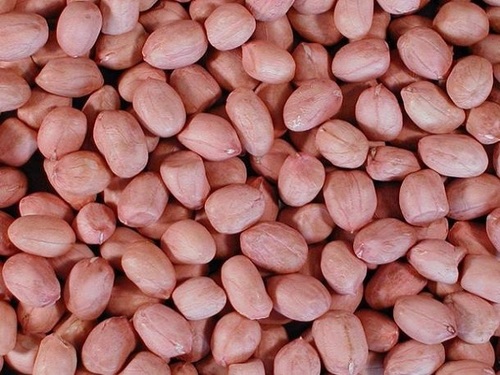 Phalli – Raw Peanuts (Groundnuts)