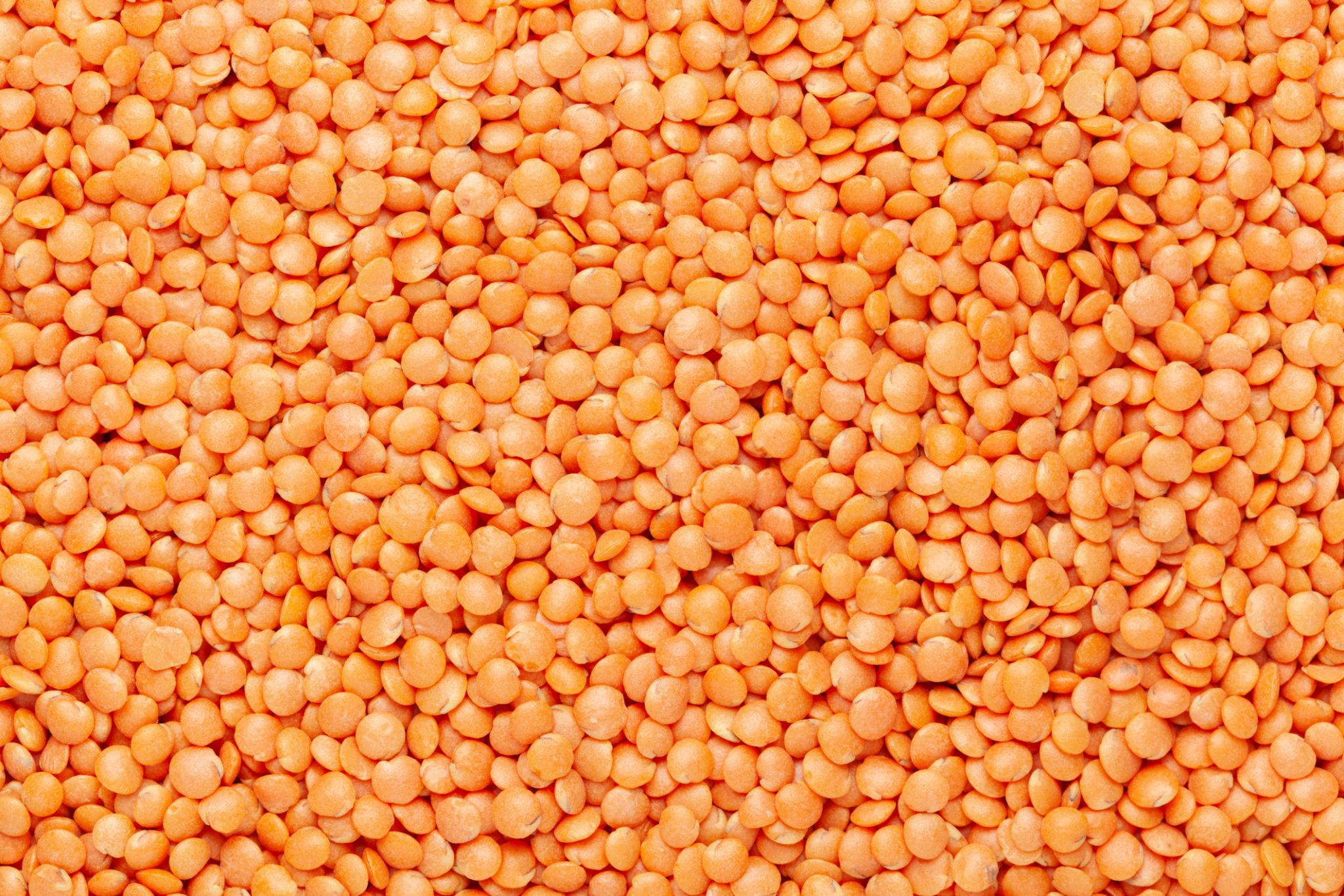 Masoor Dal – Organic, Pure & Nutritious