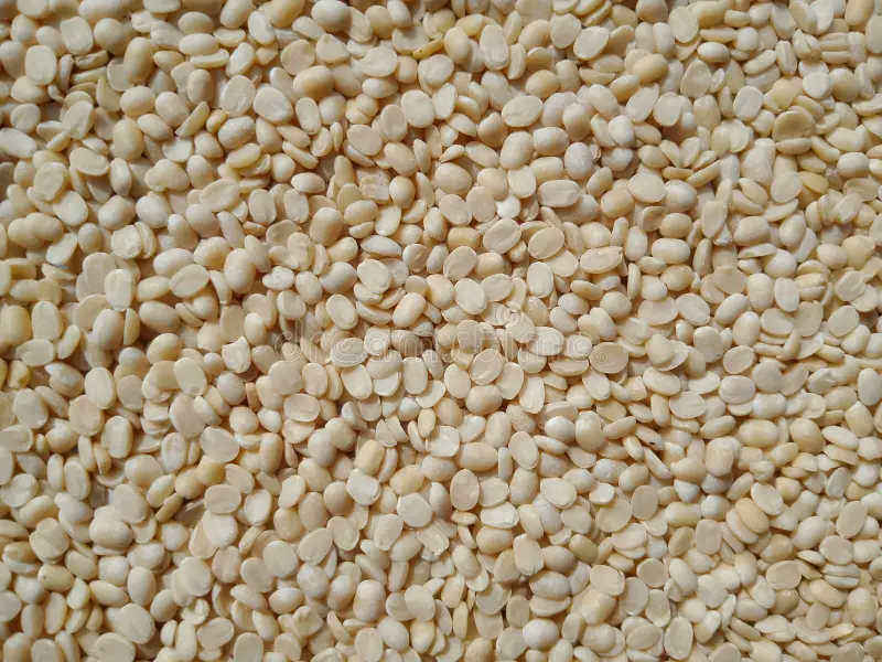 Mash Dal – Organic, Pure & Protein-Rich