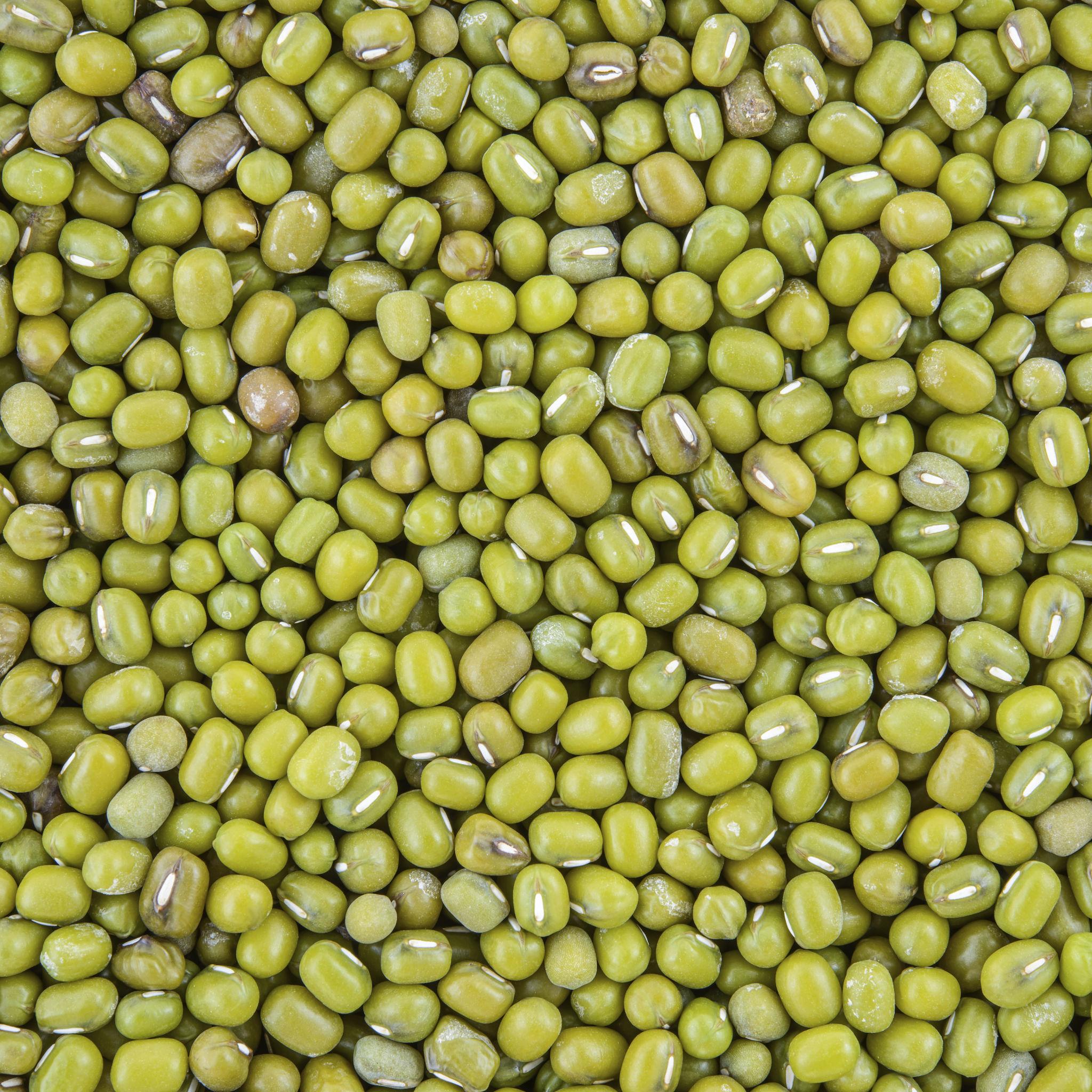 Moong Dal – Organic, Pure & Wholesome Nutrition