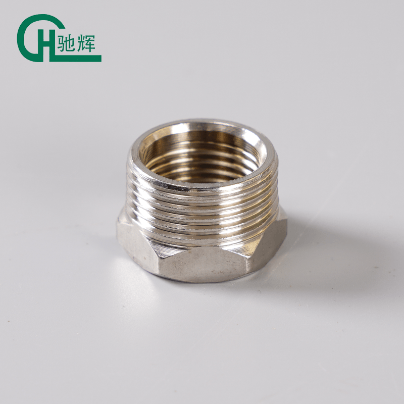 Stainless Steel Hex  Pipe Connector Plug