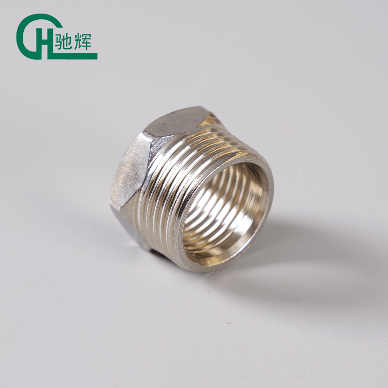 Stainless Steel Hex  Pipe Connector Plug