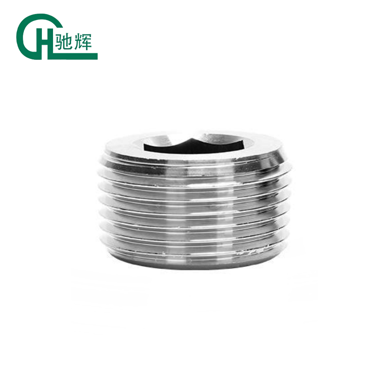 Stainless Steel Female Hex Male Thread  Pipe Plug