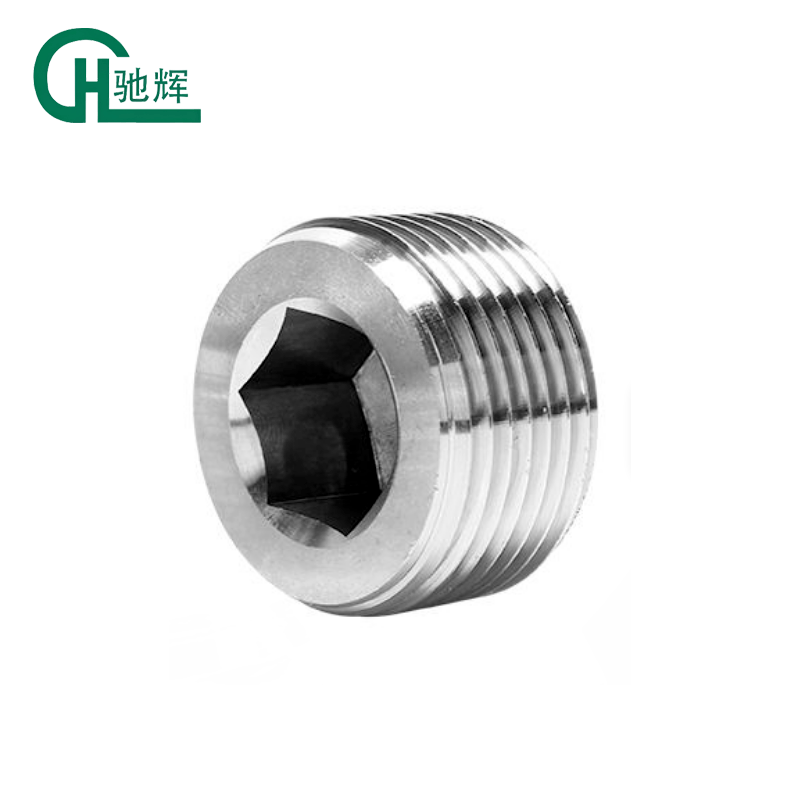 Stainless Steel Female Hex Male Thread  Pipe Plug