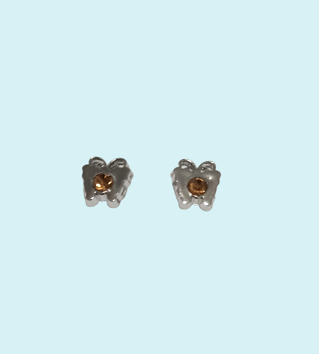 Boucles d'oreilles animaux argenté