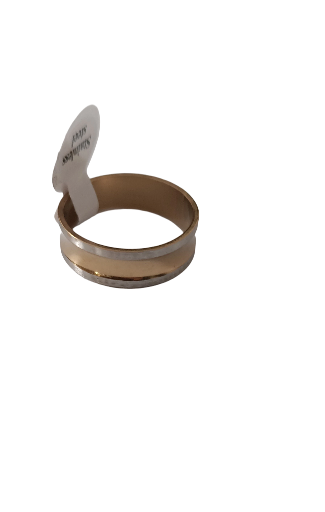 Bague en acier Inoxydable Bicolore