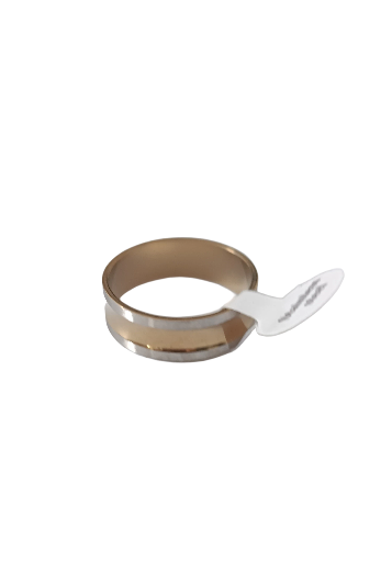 Bague en acier Inoxydable Bicolore