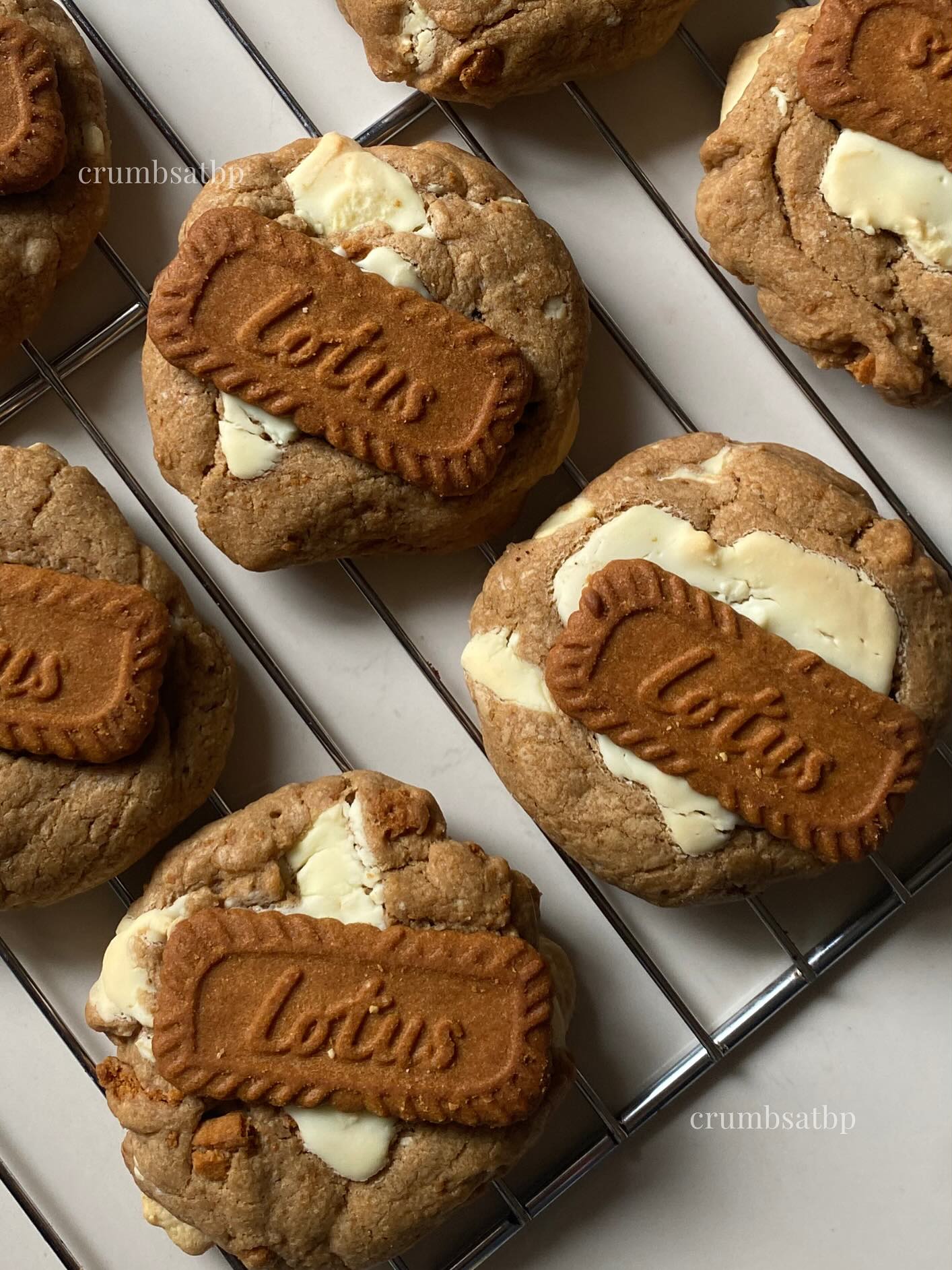 Lotus Biscoff Cookies