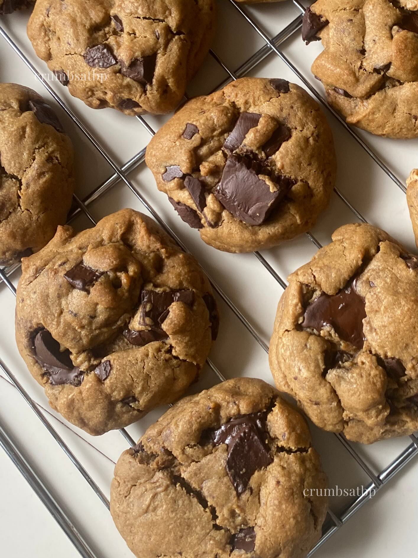 Chewy Chocolate Chip Cookies