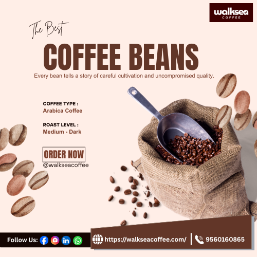 Arabica Coffee Beans