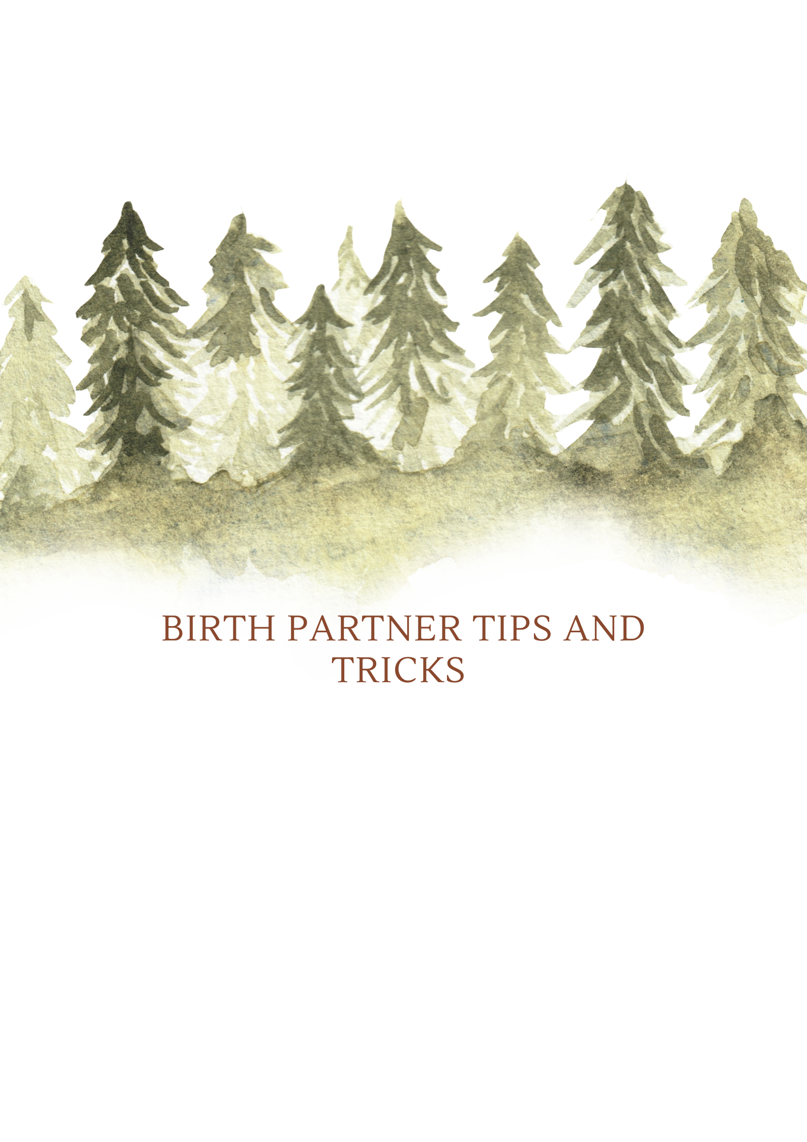 Birth Partner Tips and Tricks