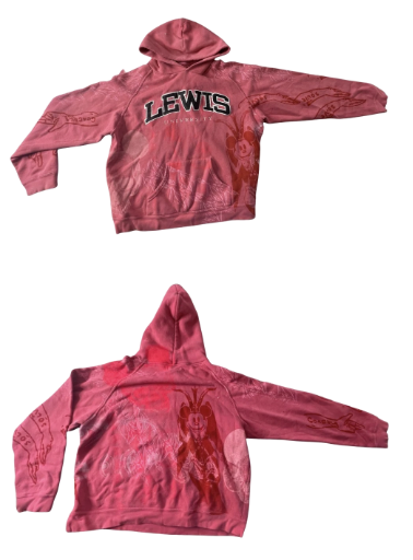 Lewis University Reworked Hoodie