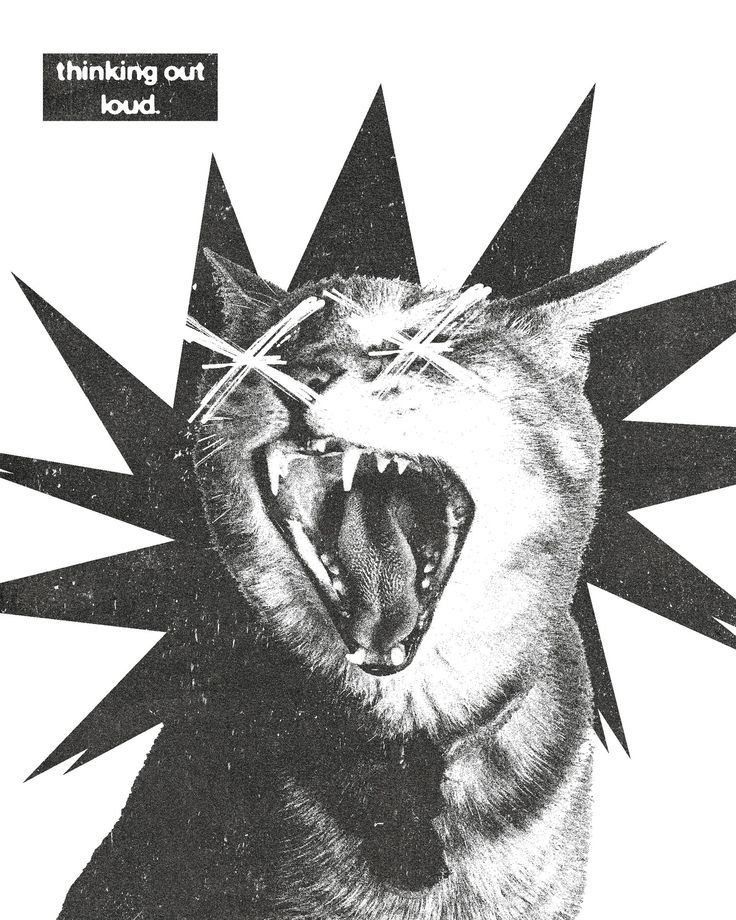 Expressive Cat Art sticker