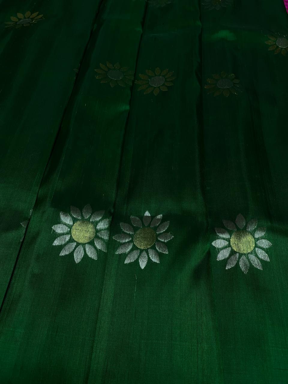 Venkatagiri Pure Handloom Pattu Saree with 6 Inch Border Special Jandhani Work and Hand Buta