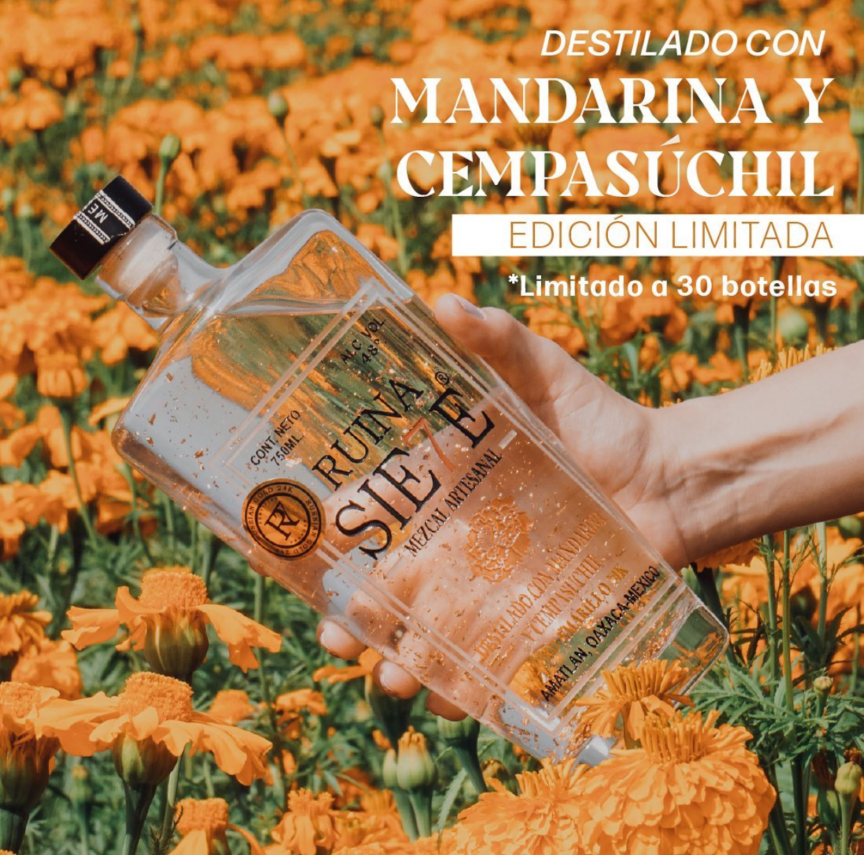 Ruina Sie7e cempasúchil y mandarina