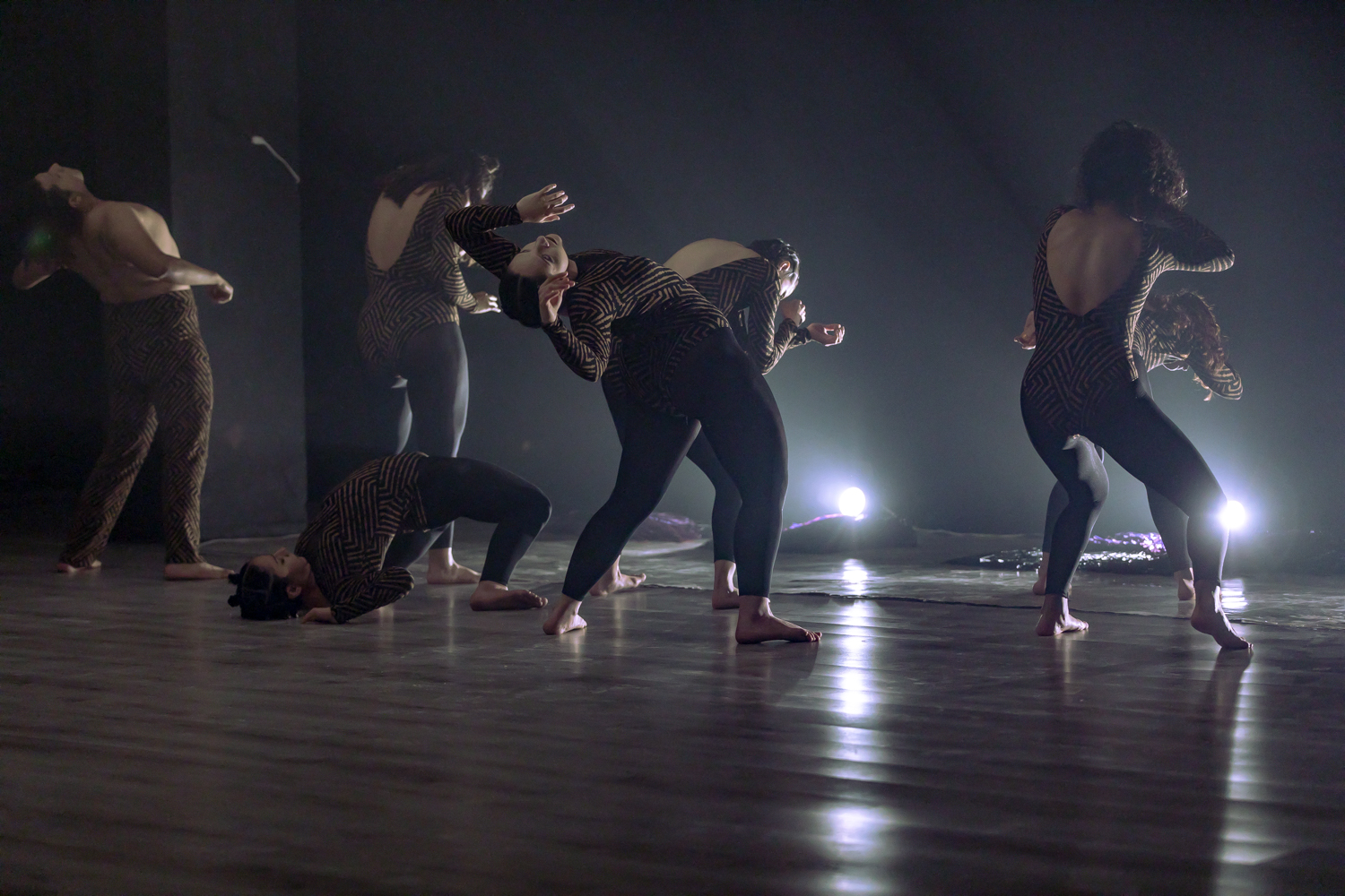 Somos raíz, somos danza