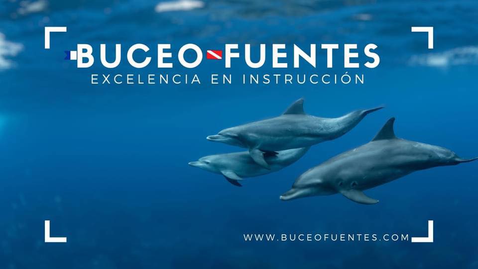 Curso de Buceo en la Alberca de Ciudad Universitaria de la UNAM