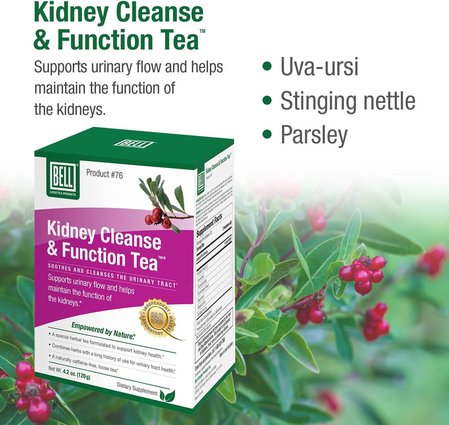 Bell Kidney Cleanse & Function Tea Lifestyle Products