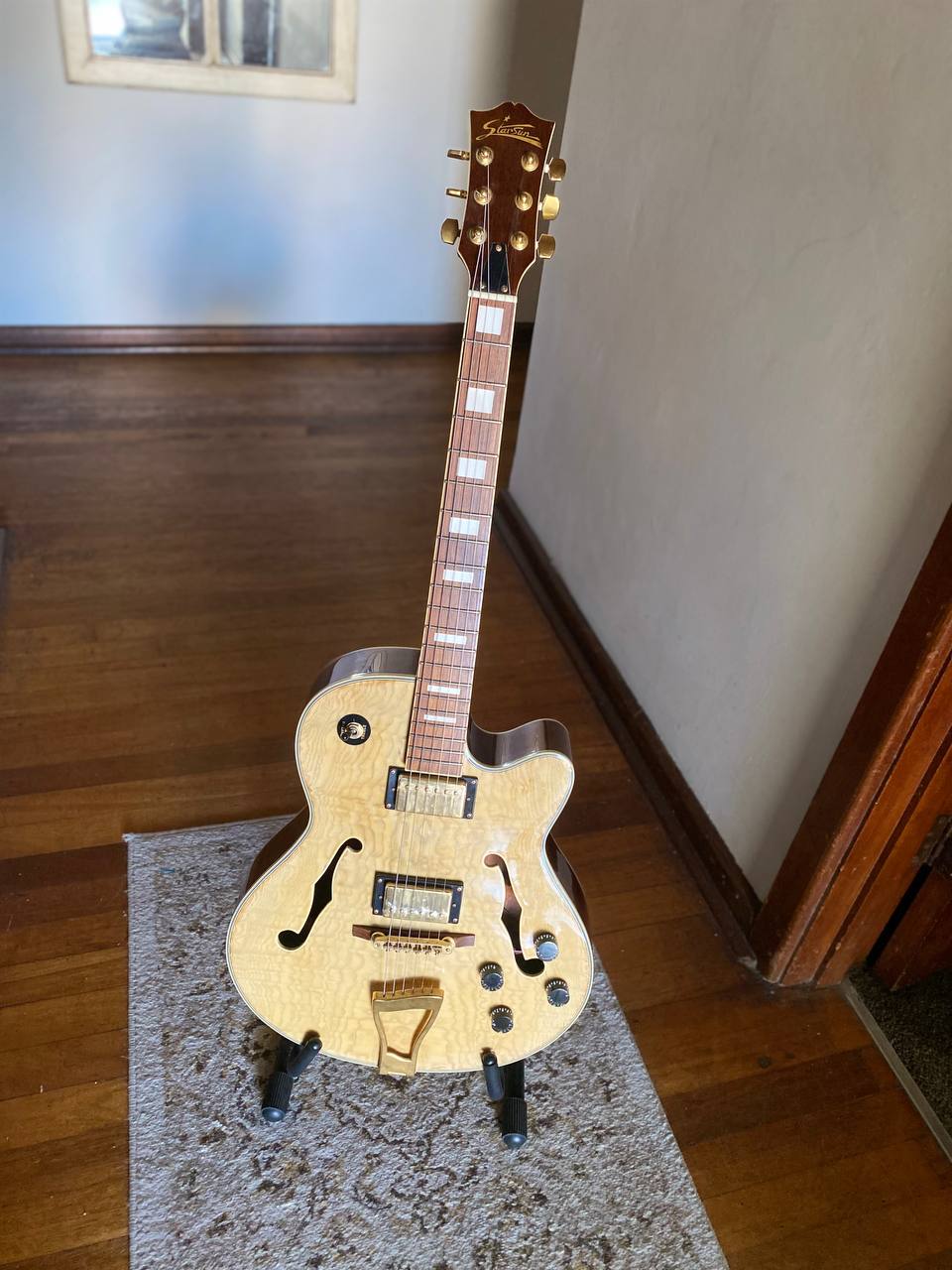 Semi-Hollow Electric Guitar